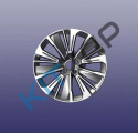 ���� �������� �����