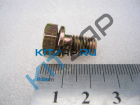 ���� ����� ���������